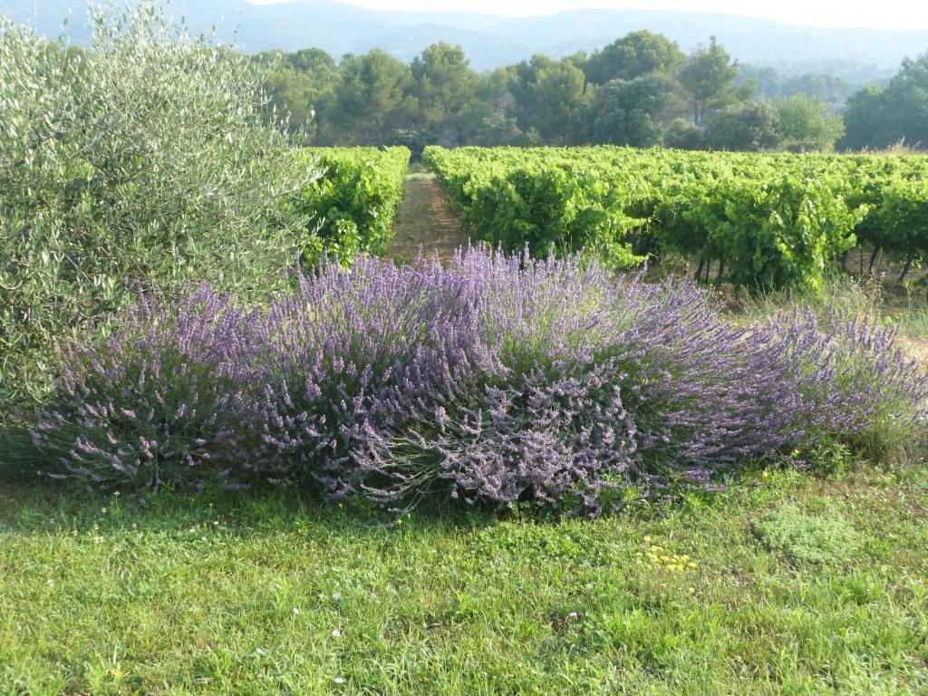 Maison D'Hotes Bastide St Victor A 2,5 Kilometres De Lourmarin Puyvert Exterior foto